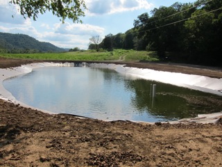 CastingPond.jpg